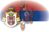 www.srbi.rs